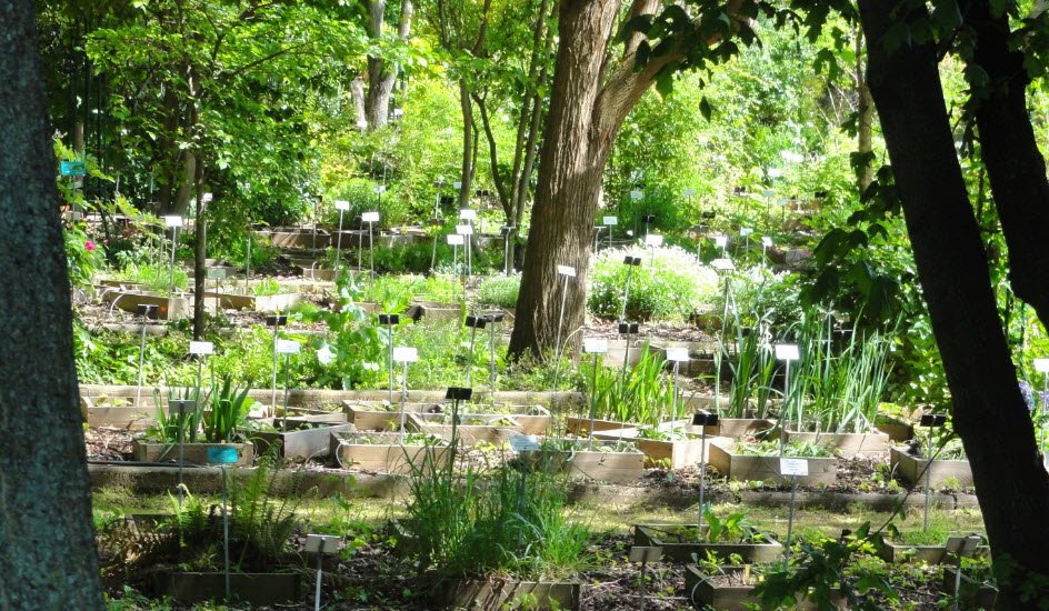 d'Auvergne Botanical Garden, Chamalières, France, France